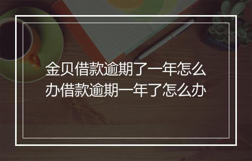 金贝借款逾期了一年怎么办借款逾期一年了怎么办