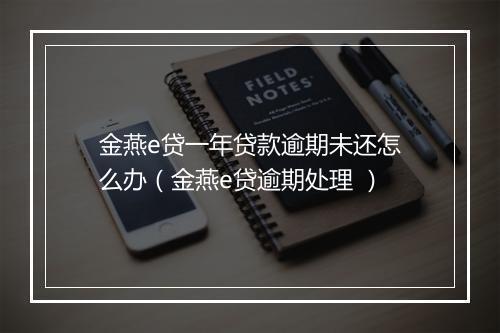 金燕e贷一年贷款逾期未还怎么办（金燕e贷逾期处理 ）