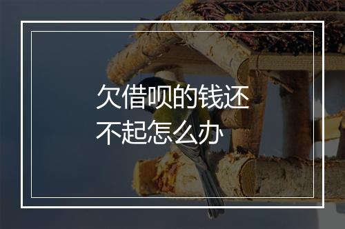 欠借呗的钱还不起怎么办