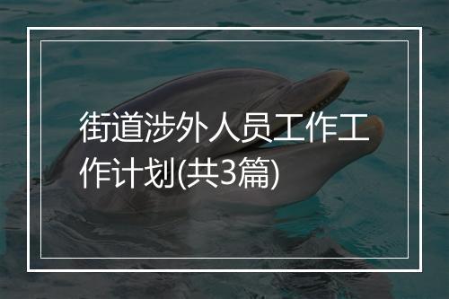 街道涉外人员工作工作计划(共3篇)