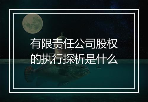 有限责任公司股权的执行探析是什么