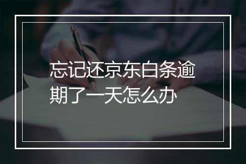 忘记还京东白条逾期了一天怎么办