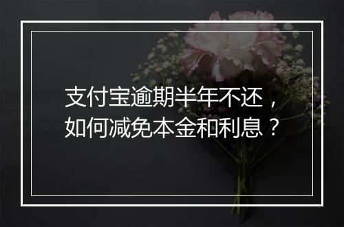 支付宝逾期半年不还，如何减免本金和利息？