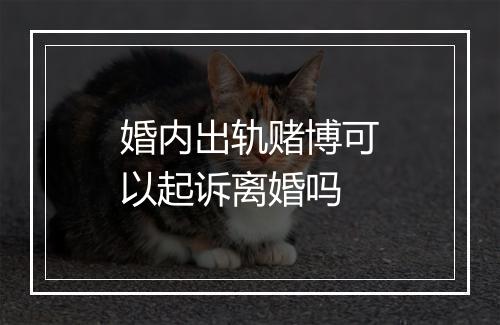 婚内出轨赌博可以起诉离婚吗