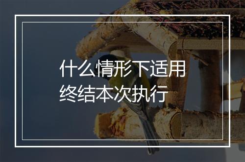 什么情形下适用终结本次执行
