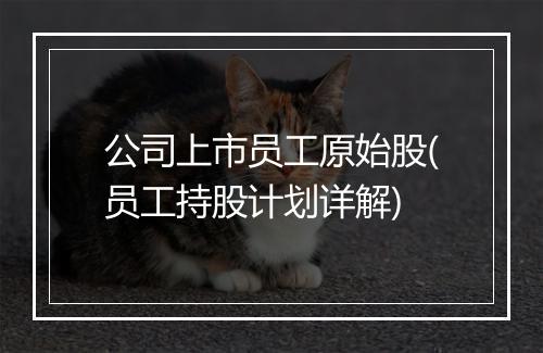 公司上市员工原始股(员工持股计划详解)