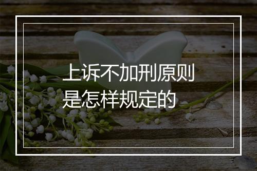 上诉不加刑原则是怎样规定的
