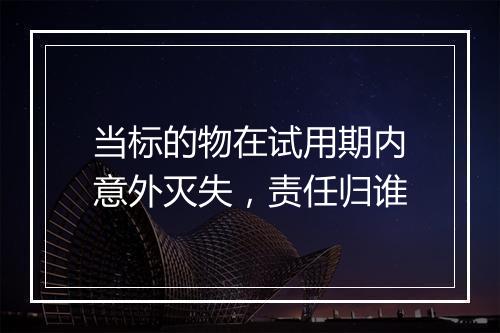 当标的物在试用期内意外灭失，责任归谁