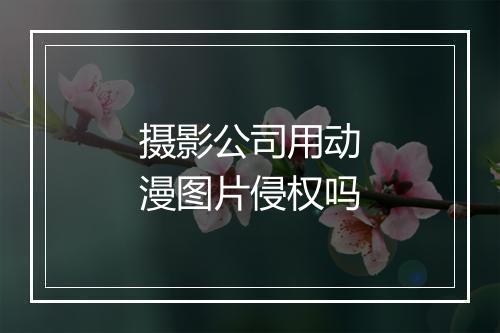 摄影公司用动漫图片侵权吗