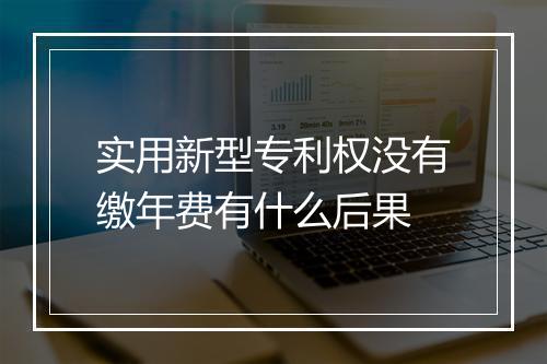 实用新型专利权没有缴年费有什么后果