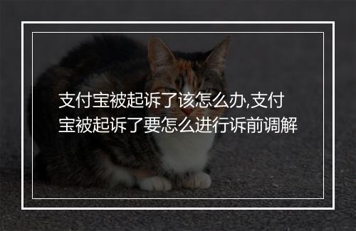 支付宝被起诉了该怎么办,支付宝被起诉了要怎么进行诉前调解