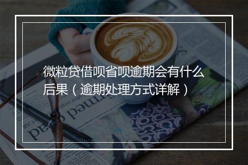 微粒贷借呗省呗逾期会有什么后果（逾期处理方式详解）