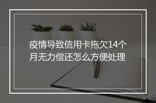 疫情导致信用卡拖欠14个月无力偿还怎么方便处理