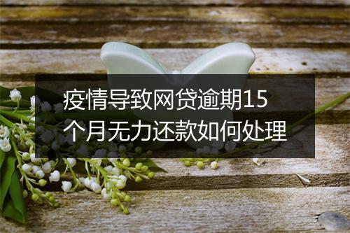 疫情导致网贷逾期15个月无力还款如何处理