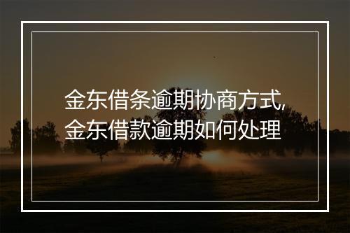 金东借条逾期协商方式,金东借款逾期如何处理