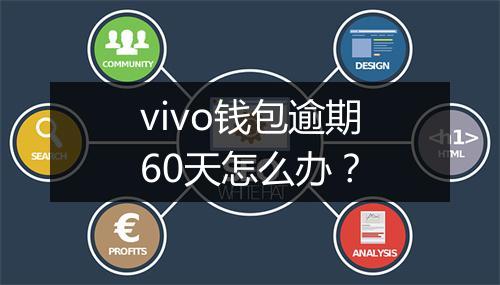 vivo钱包逾期60天怎么办？