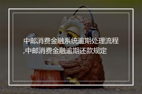 中邮消费金融系统逾期处理流程,中邮消费金融逾期还款规定
