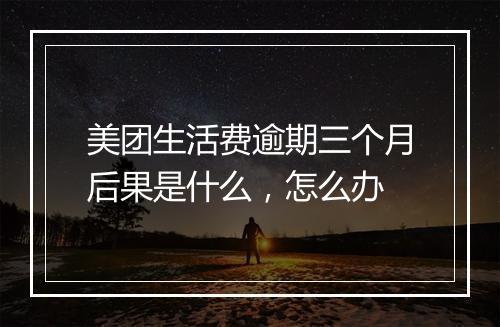 美团生活费逾期三个月后果是什么，怎么办