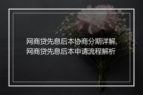 网商贷先息后本协商分期详解,网商贷先息后本申请流程解析