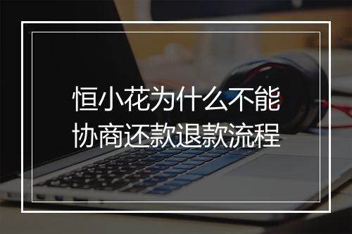 恒小花为什么不能协商还款退款流程