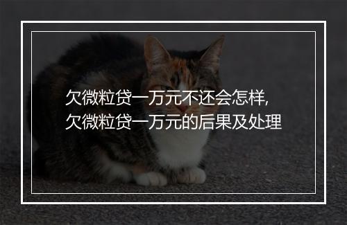 欠微粒贷一万元不还会怎样,欠微粒贷一万元的后果及处理