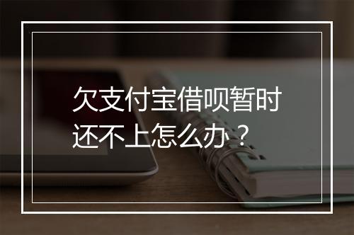 欠支付宝借呗暂时还不上怎么办？
