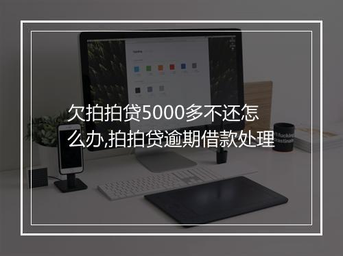欠拍拍贷5000多不还怎么办,拍拍贷逾期借款处理
