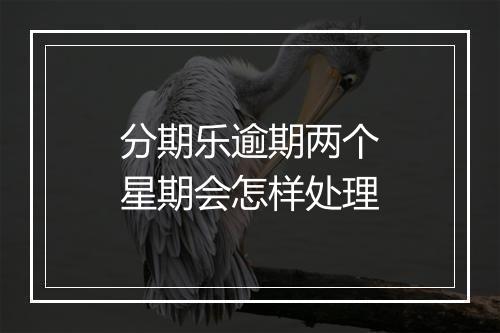 分期乐逾期两个星期会怎样处理