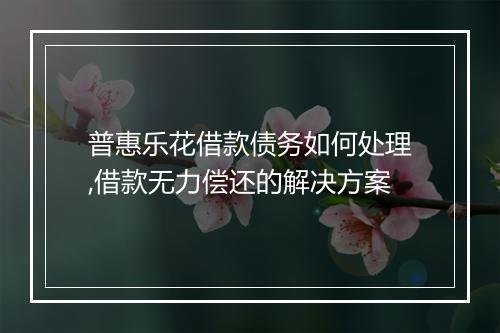 普惠乐花借款债务如何处理,借款无力偿还的解决方案