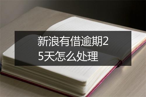 新浪有借逾期25天怎么处理