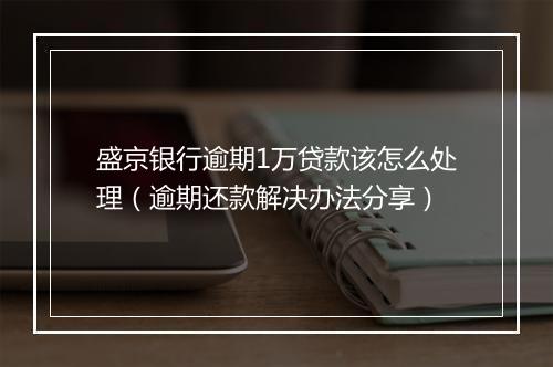 盛京银行逾期1万贷款该怎么处理（逾期还款解决办法分享）