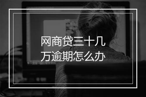 网商贷三十几万逾期怎么办