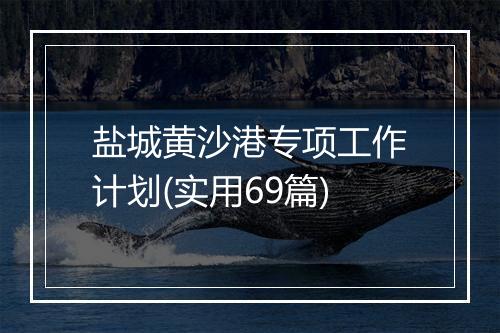盐城黄沙港专项工作计划(实用69篇)
