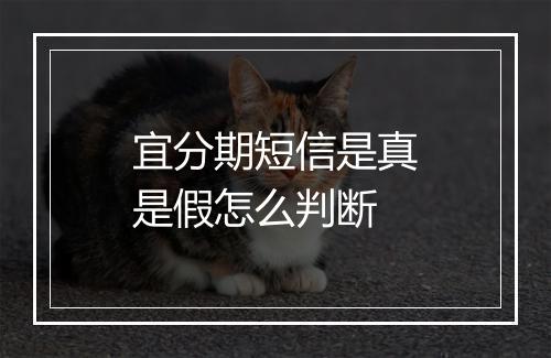 宜分期短信是真是假怎么判断