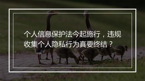 个人信息保护法今起施行，违规收集个人隐私行为真要终结？