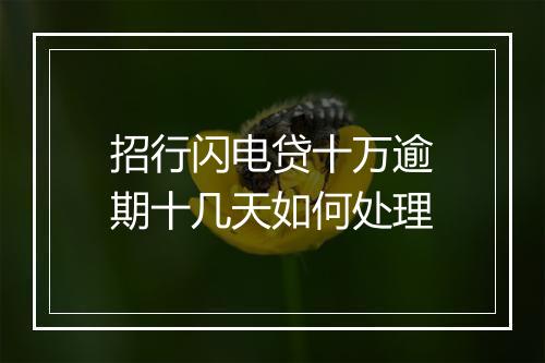 招行闪电贷十万逾期十几天如何处理
