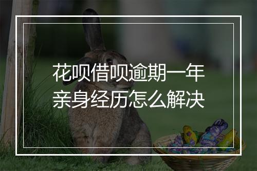 花呗借呗逾期一年亲身经历怎么解决