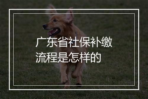 广东省社保补缴流程是怎样的