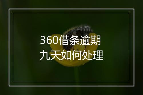 360借条逾期九天如何处理