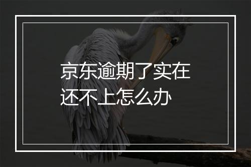 京东逾期了实在还不上怎么办