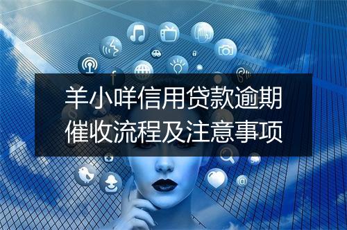 羊小咩信用贷款逾期催收流程及注意事项