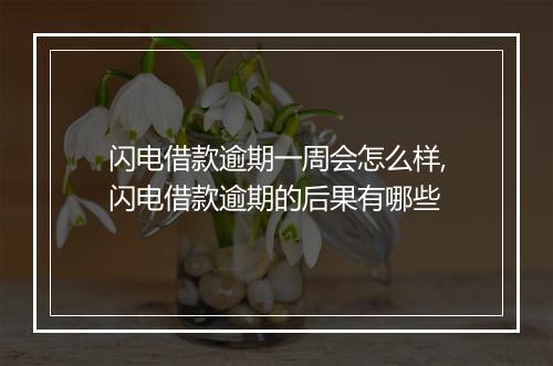 闪电借款逾期一周会怎么样,闪电借款逾期的后果有哪些