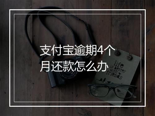 支付宝逾期4个月还款怎么办