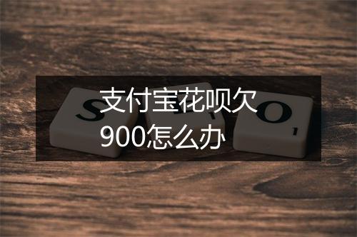 支付宝花呗欠900怎么办