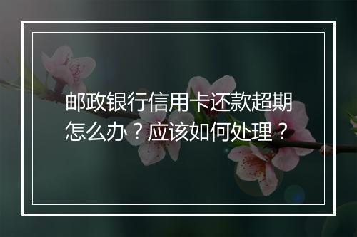 邮政银行信用卡还款超期怎么办？应该如何处理？