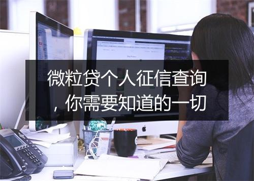 微粒贷个人征信查询，你需要知道的一切