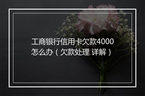工商银行信用卡欠款4000怎么办（欠款处理 详解）