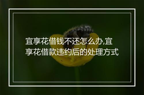 宜享花借钱不还怎么办,宜享花借款违约后的处理方式