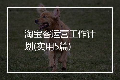 淘宝客运营工作计划(实用5篇)