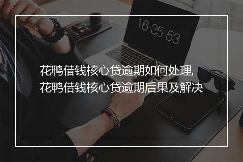 花鸭借钱核心贷逾期如何处理,花鸭借钱核心贷逾期后果及解决